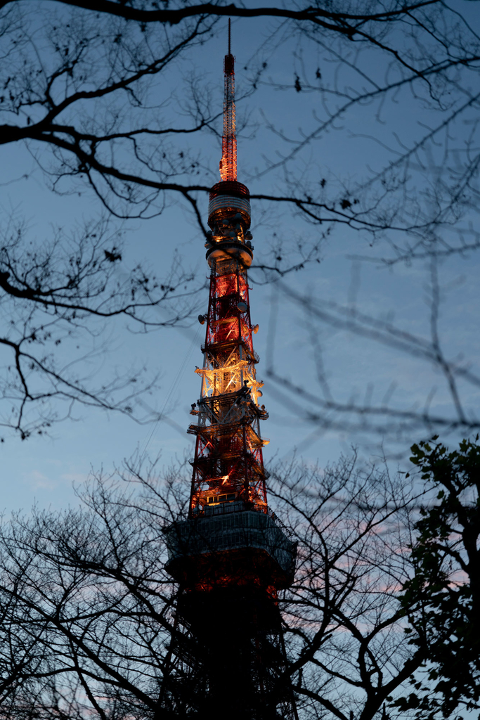 東京タワー