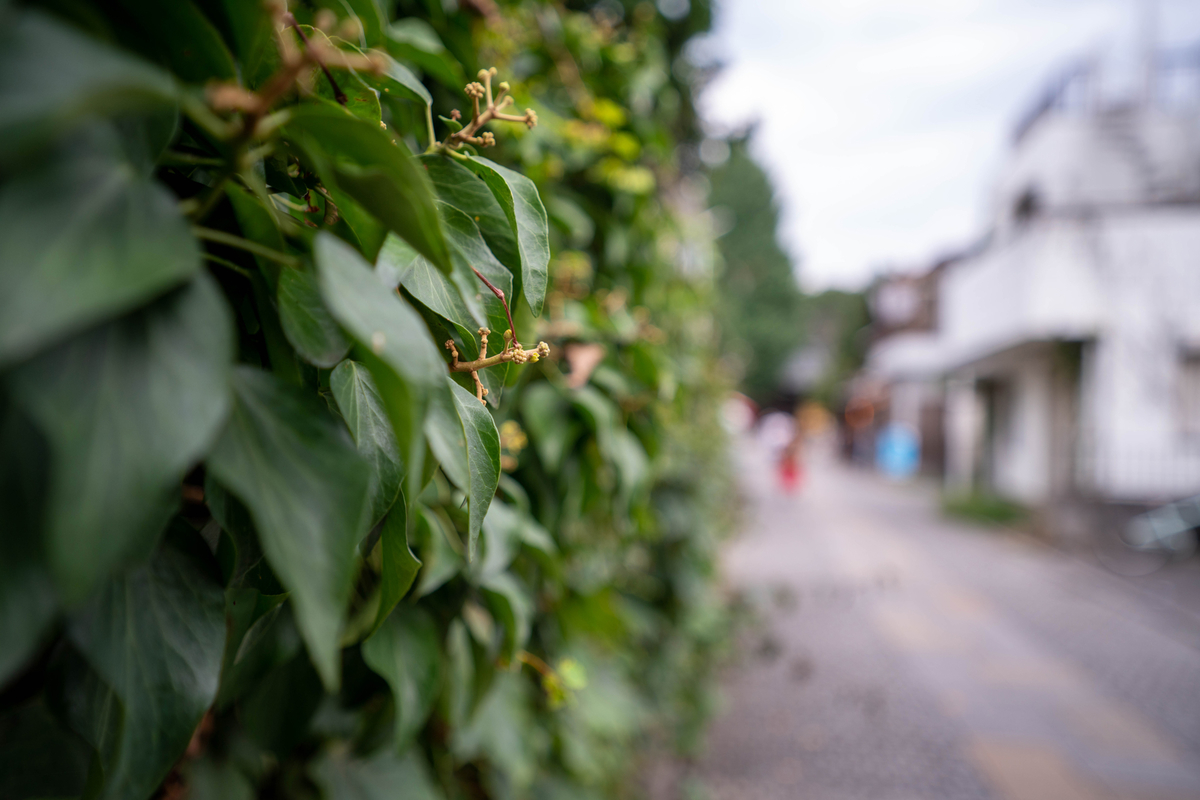 17-28mm F/2.8 Di III RXD ボケ