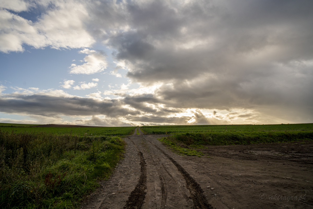 SAMYANG AF 18mm F2.8 FE 道