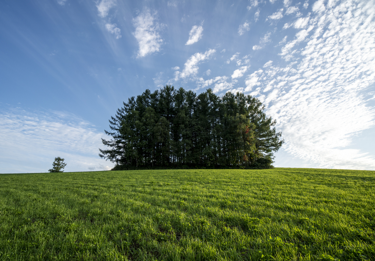 SAMYANG AF 18mm F2.8 FE　北海道