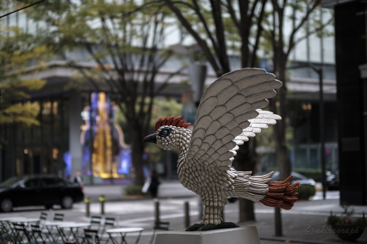 FUJIFILM XF 50mm F1.0 R WR bird