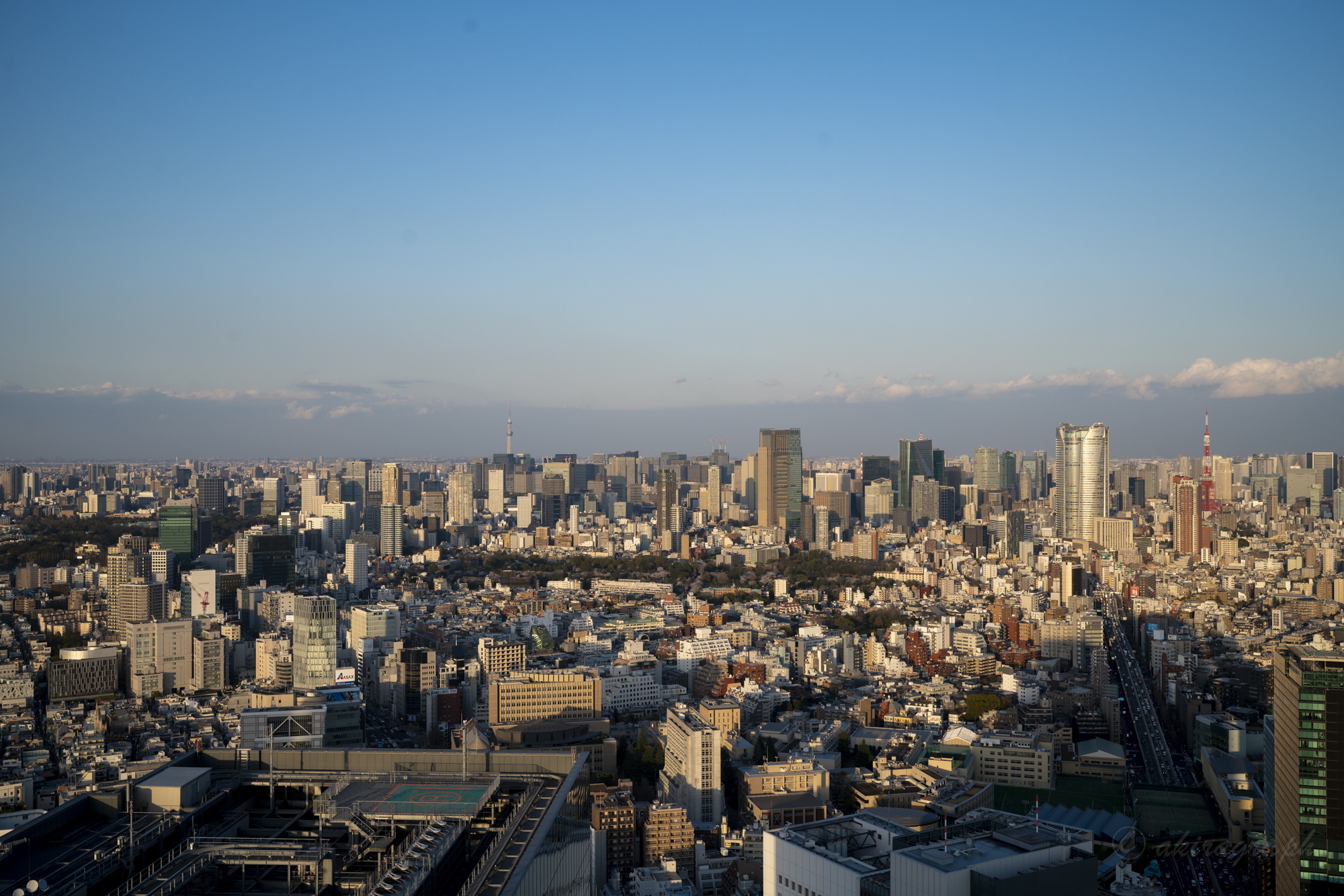 FE 35mm F1.4 GM 風景