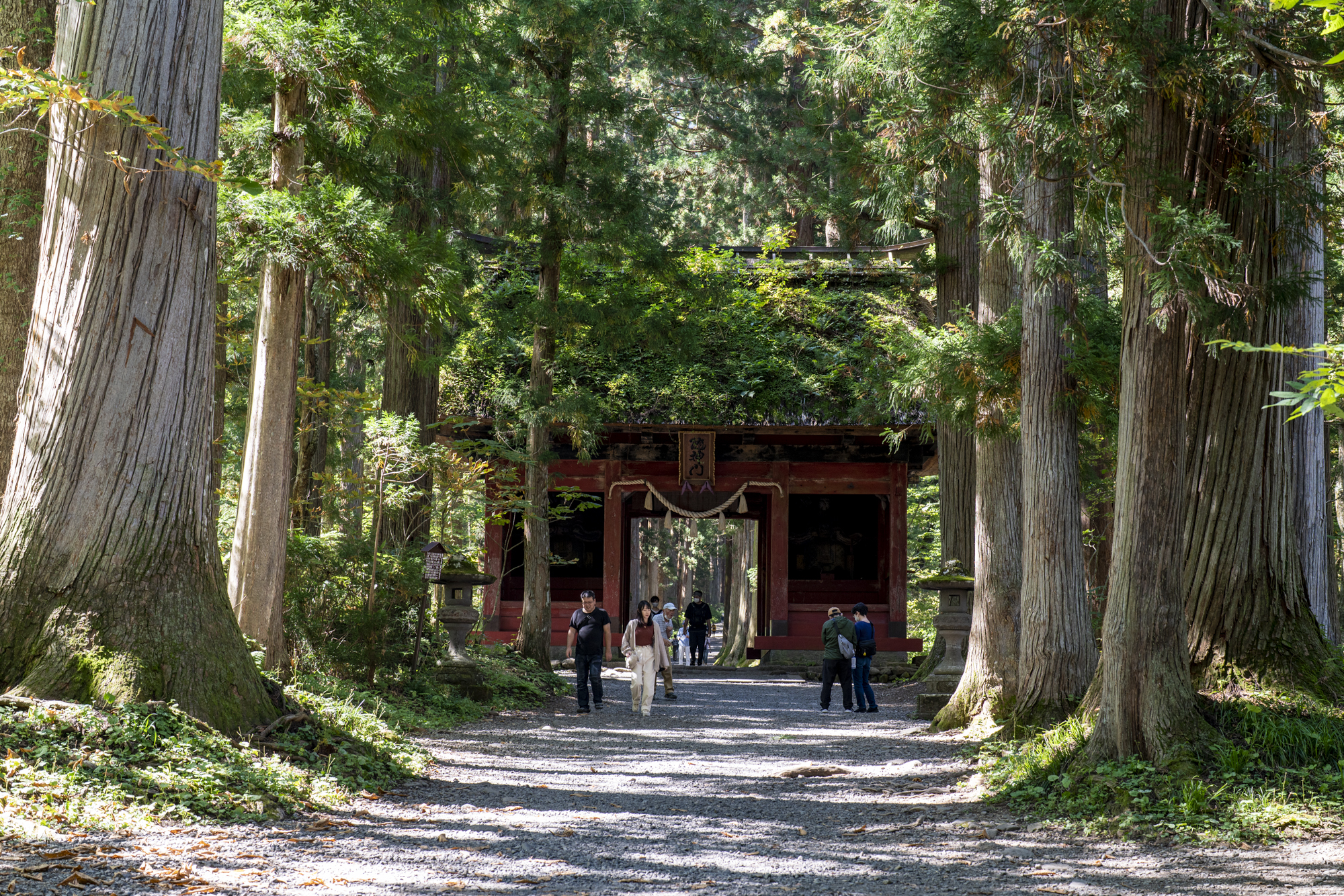 FE 50mm F1.2 GM 作例21